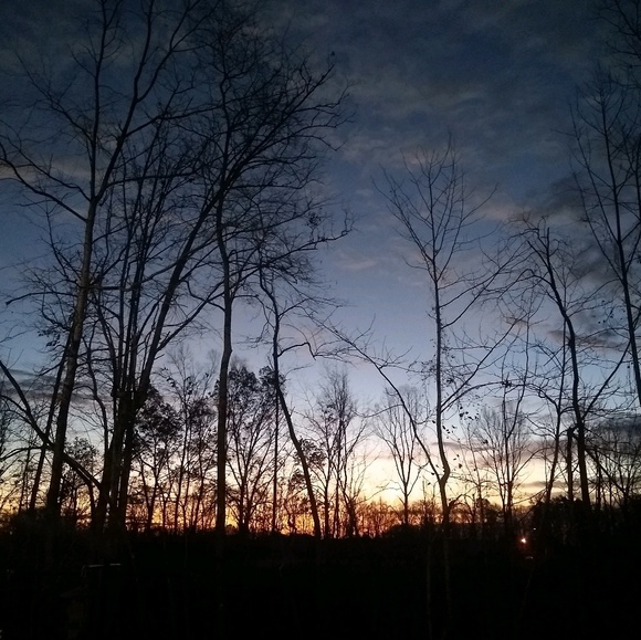 Meet your Posher, Frank - Picture 1 of 1